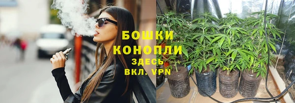 a pvp Абаза