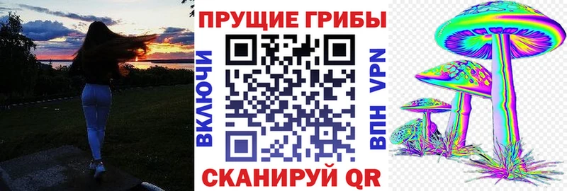 где купить наркоту  Сухиничи  Псилоцибиновые грибы MAGIC MUSHROOMS 